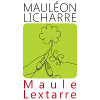 org_mauleon_web200